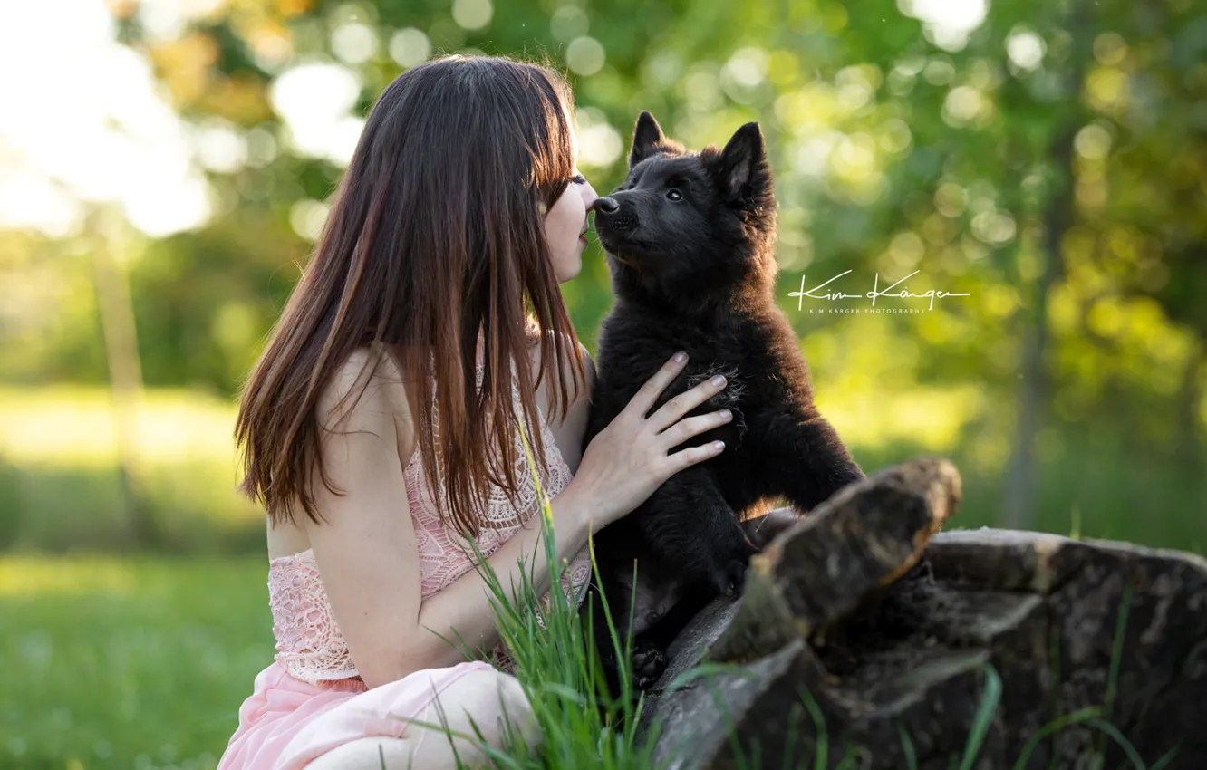 Фото обои девушка, природа, поза, платье, щенок, Kim Kаrger