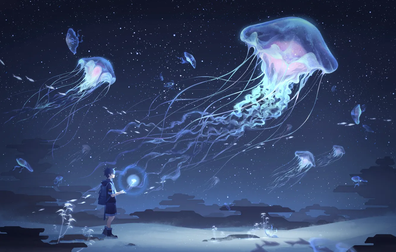 Фото обои небо, мальчик, медузы