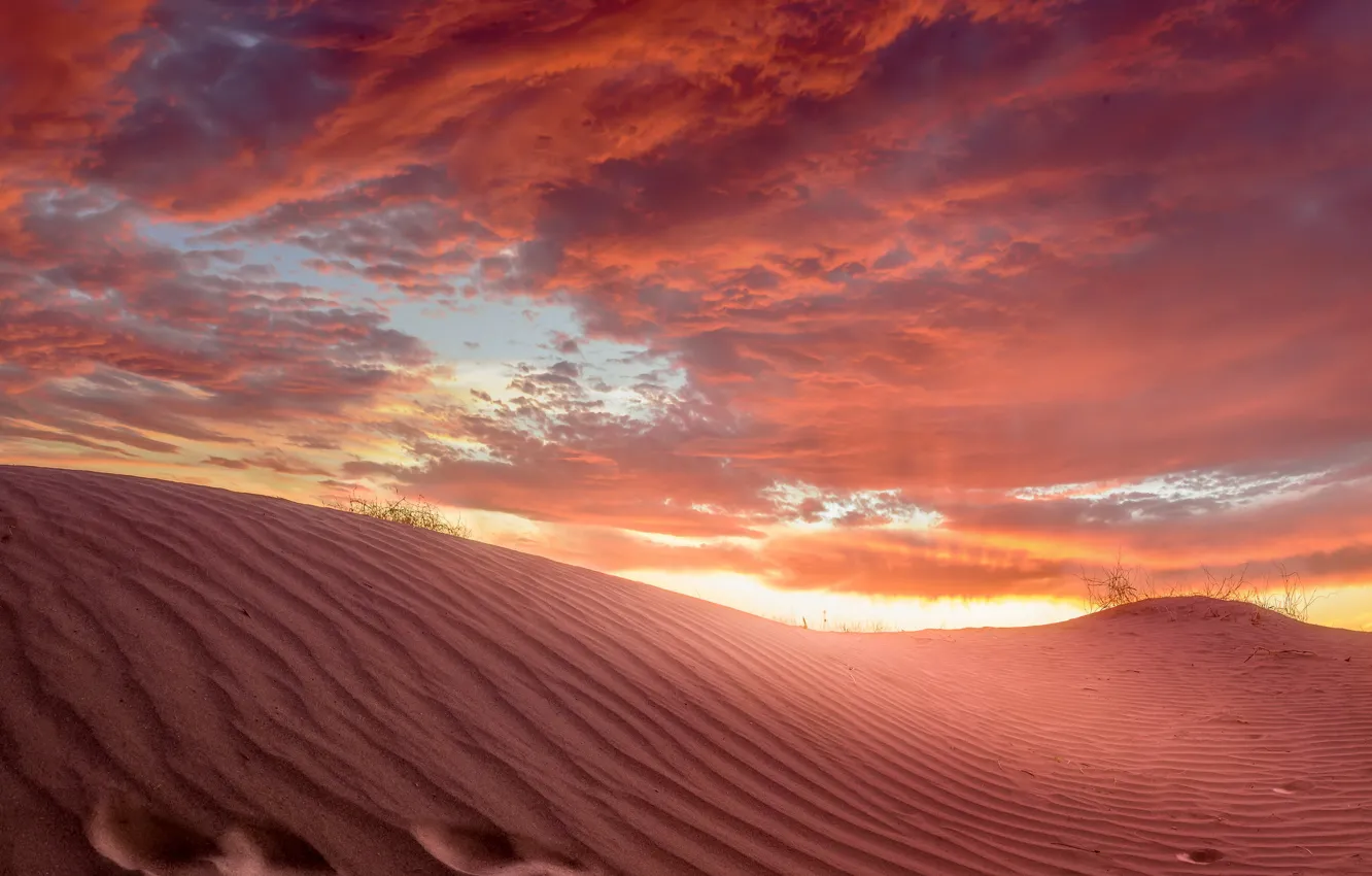 Фото обои песок, небо, пустыня