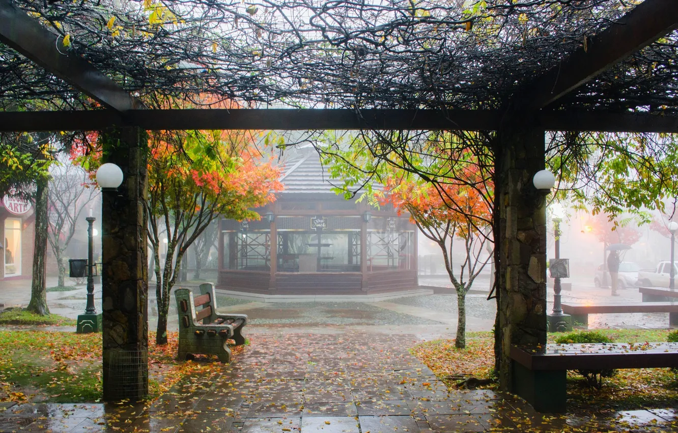 Фото обои осень, скамейка, город, дождь, rain, autumn, bench, city​​