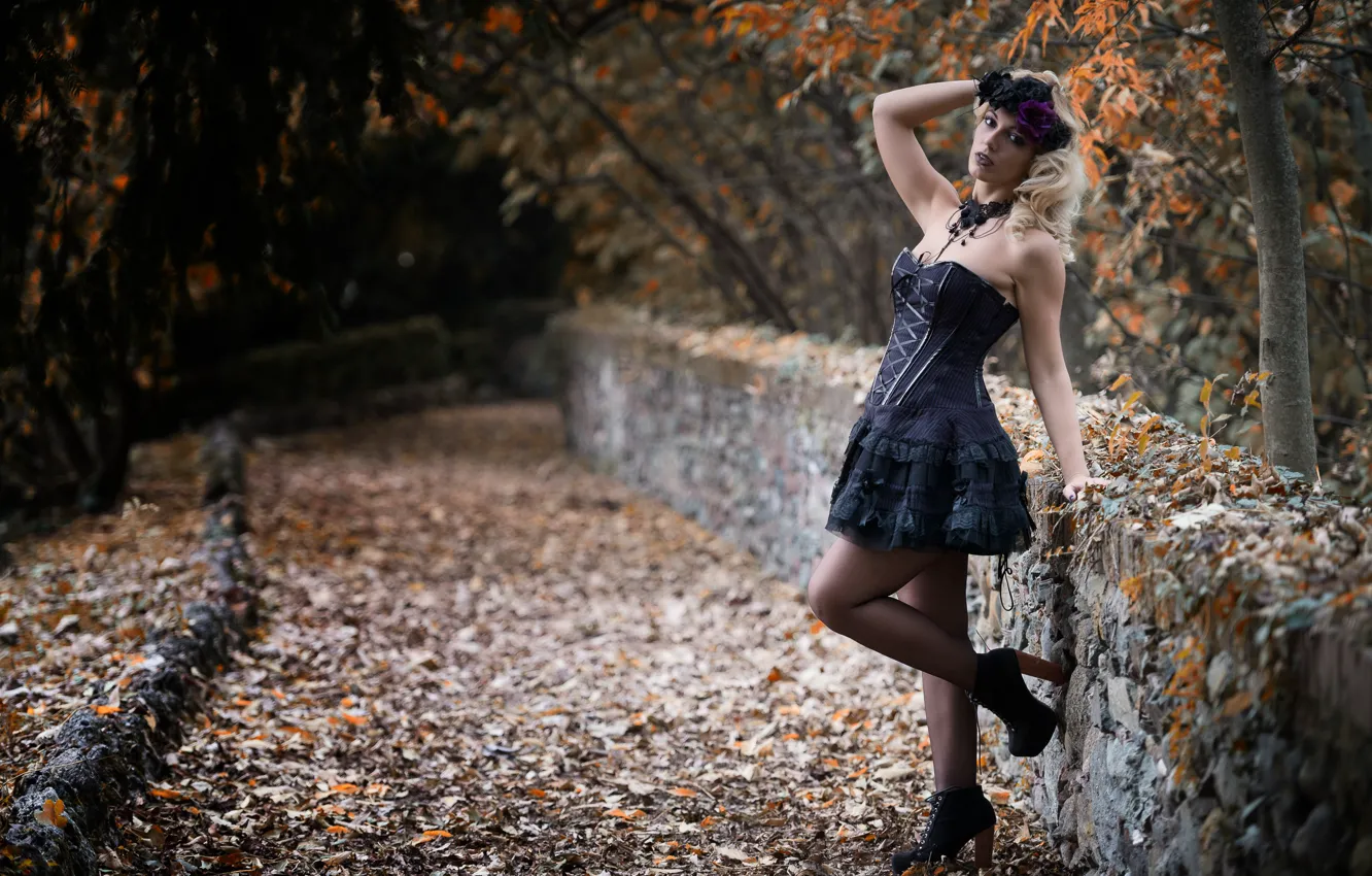 Фото обои осень, девушка, лицо, волосы, платье, ножки, Deborah
