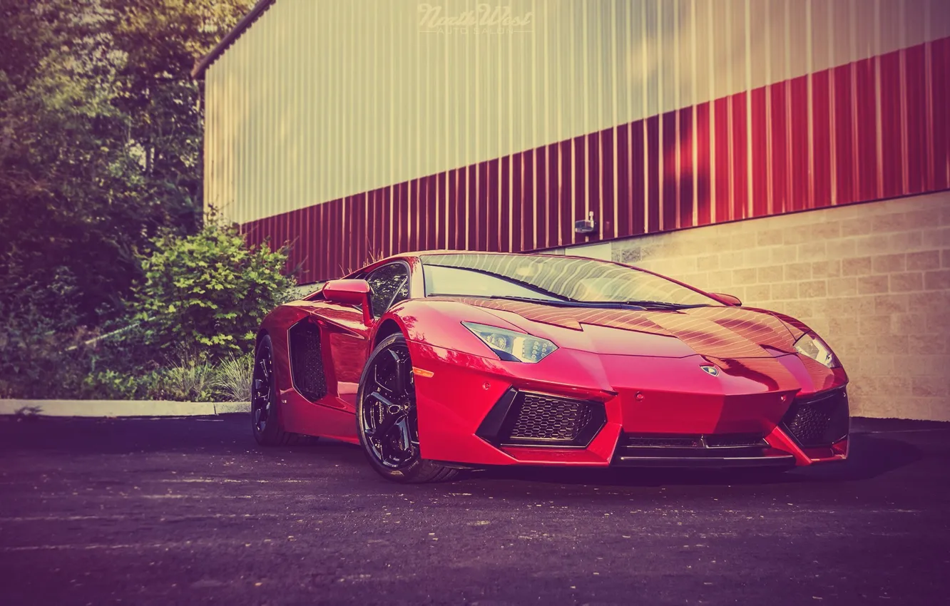 Фото обои Lamborghini, Red, Front, Суперкар, Перед, LP700-4, Aventador, Supercar