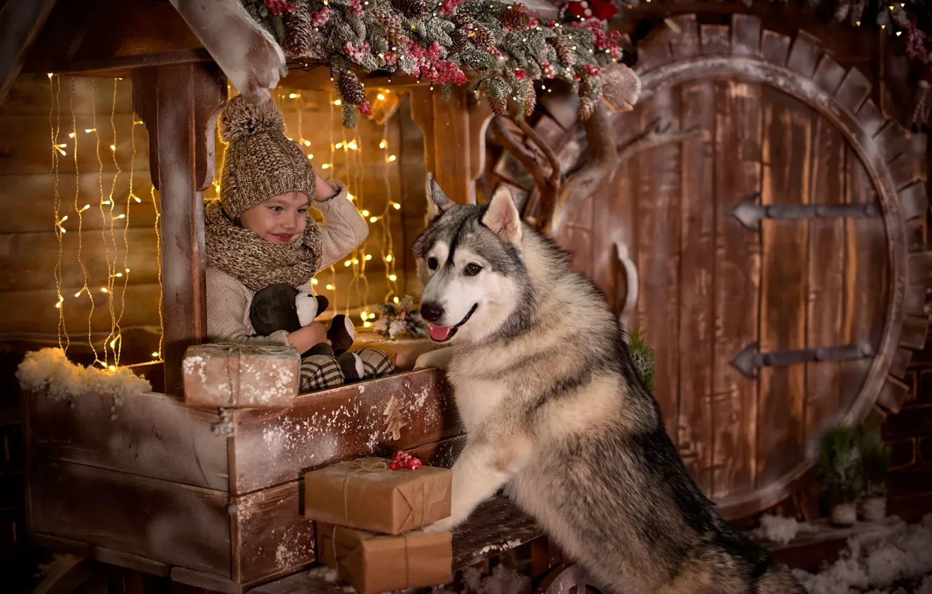 Фото обои радость, праздник, новый год, собака, мальчик