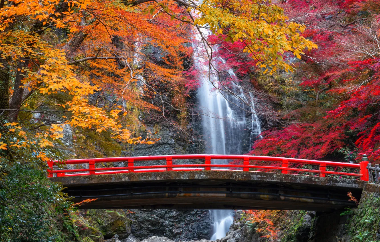 Фото обои осень, деревья, мост, скала, водопад, Япония, Japan, Osaka