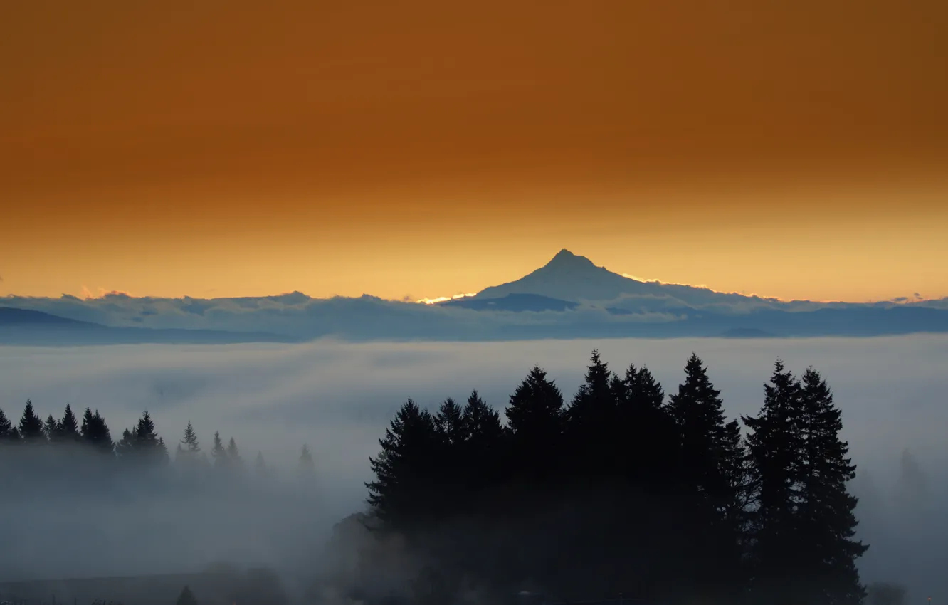 Фото обои лес, горы, город, огни, туман, вечер, mount Hood, Eastern Oregon