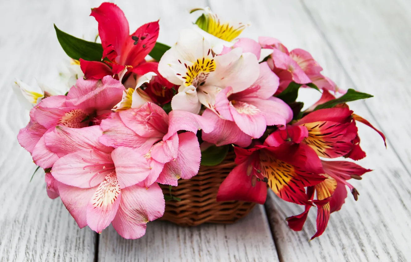 Фото обои цветы, лилии, букет, розовые, wood, pink, flowers, lily