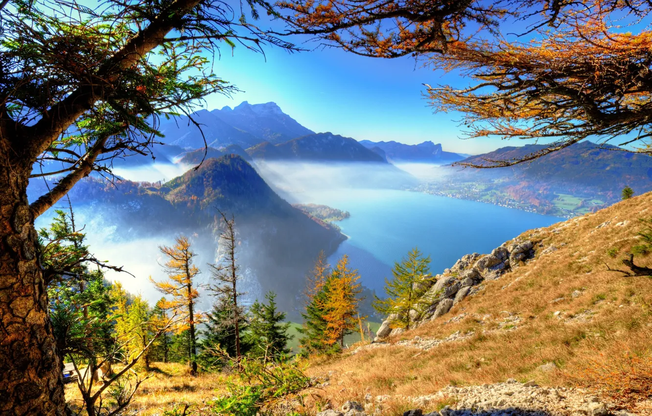 Фото обои осень, деревья, пейзаж, горы, природа, туман, озеро, Австрия