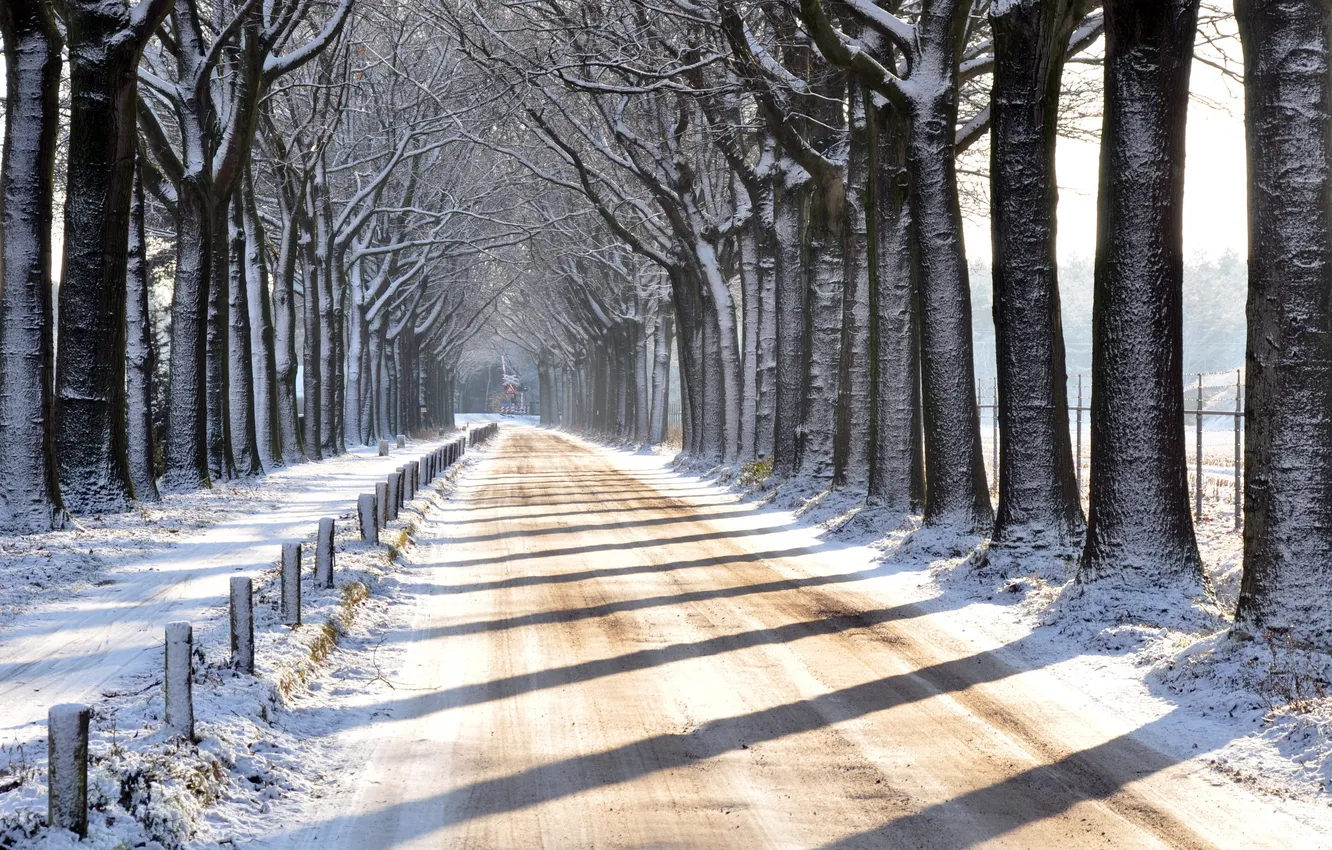 Фото обои зима, дорога, пейзаж