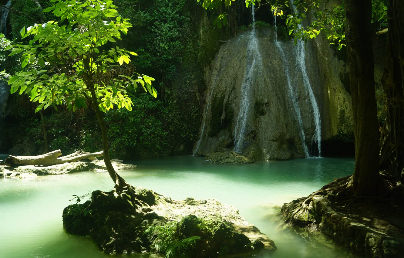 Фото обои вода, камни, дерево, водопад