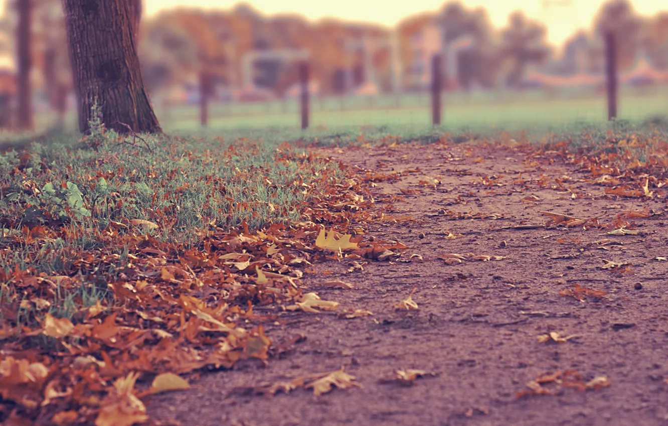 Фото обои дорога, осень, листья, город, blur