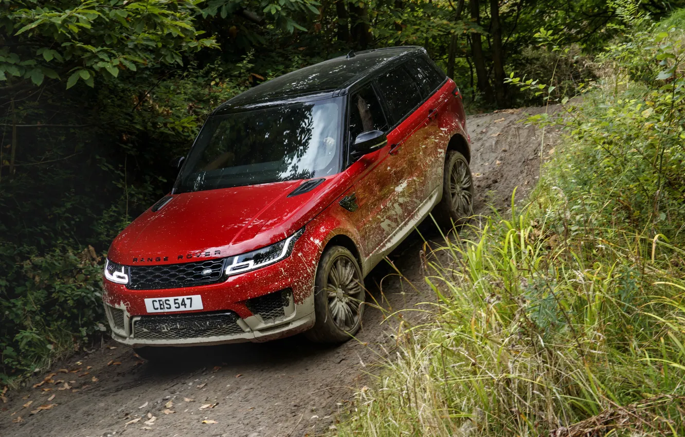 Фото обои дорога, лес, растительность, грязь, Land Rover, чёрно-красный, Range Rover Sport Autobiography