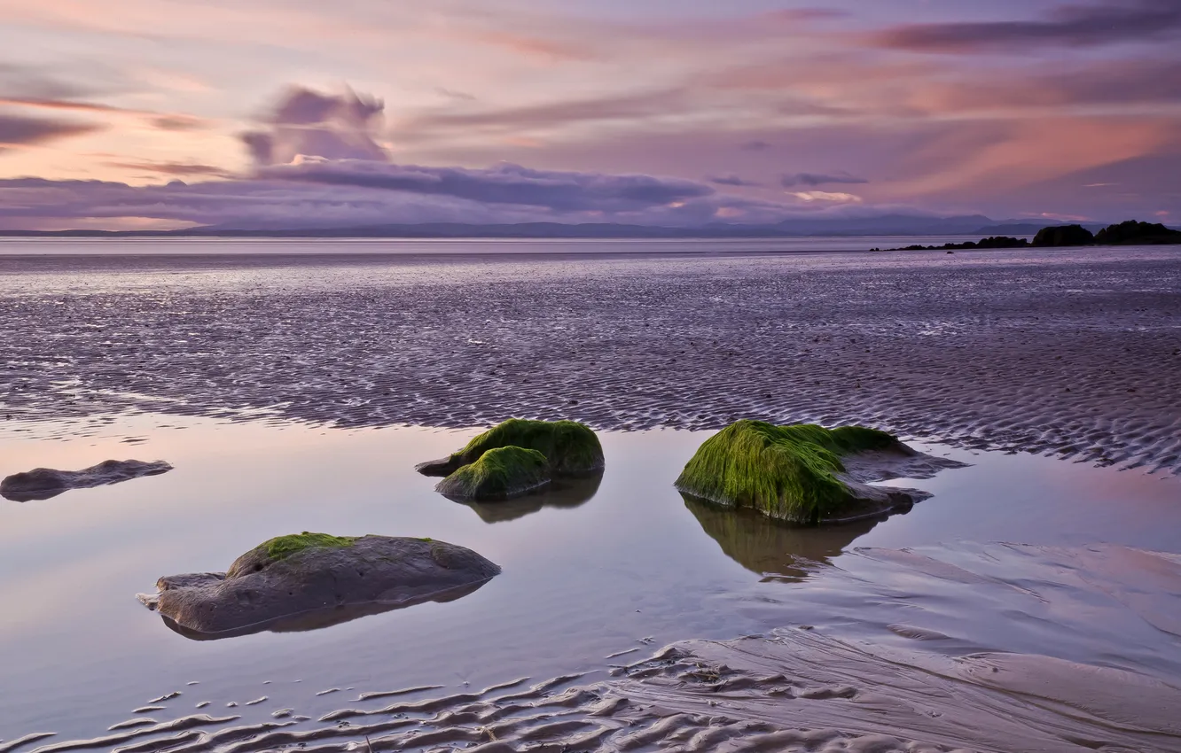 Фото обои песок, море, вода, водоросли, закат, отражение, камни, мель