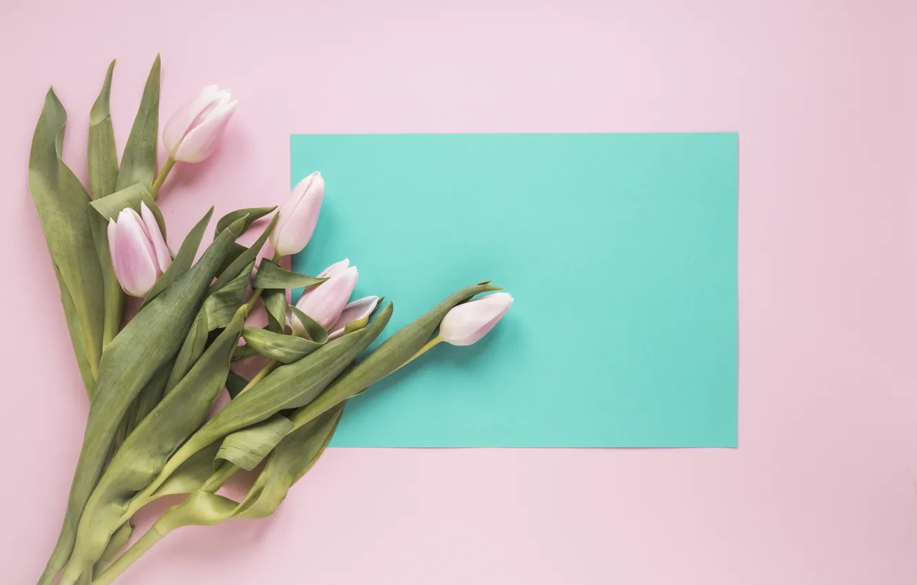Фото обои фон, букет, тюльпаны, розовые, pink, tulips