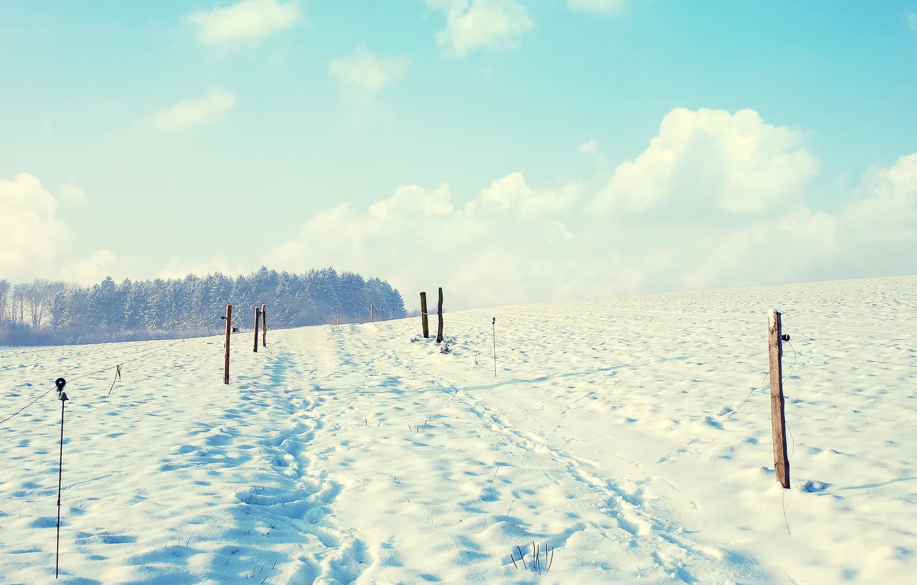 Фото обои зима, пейзаж, природа