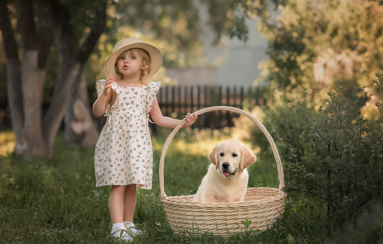 Фото обои корзина, шляпа, девочка, щенок, ретривер