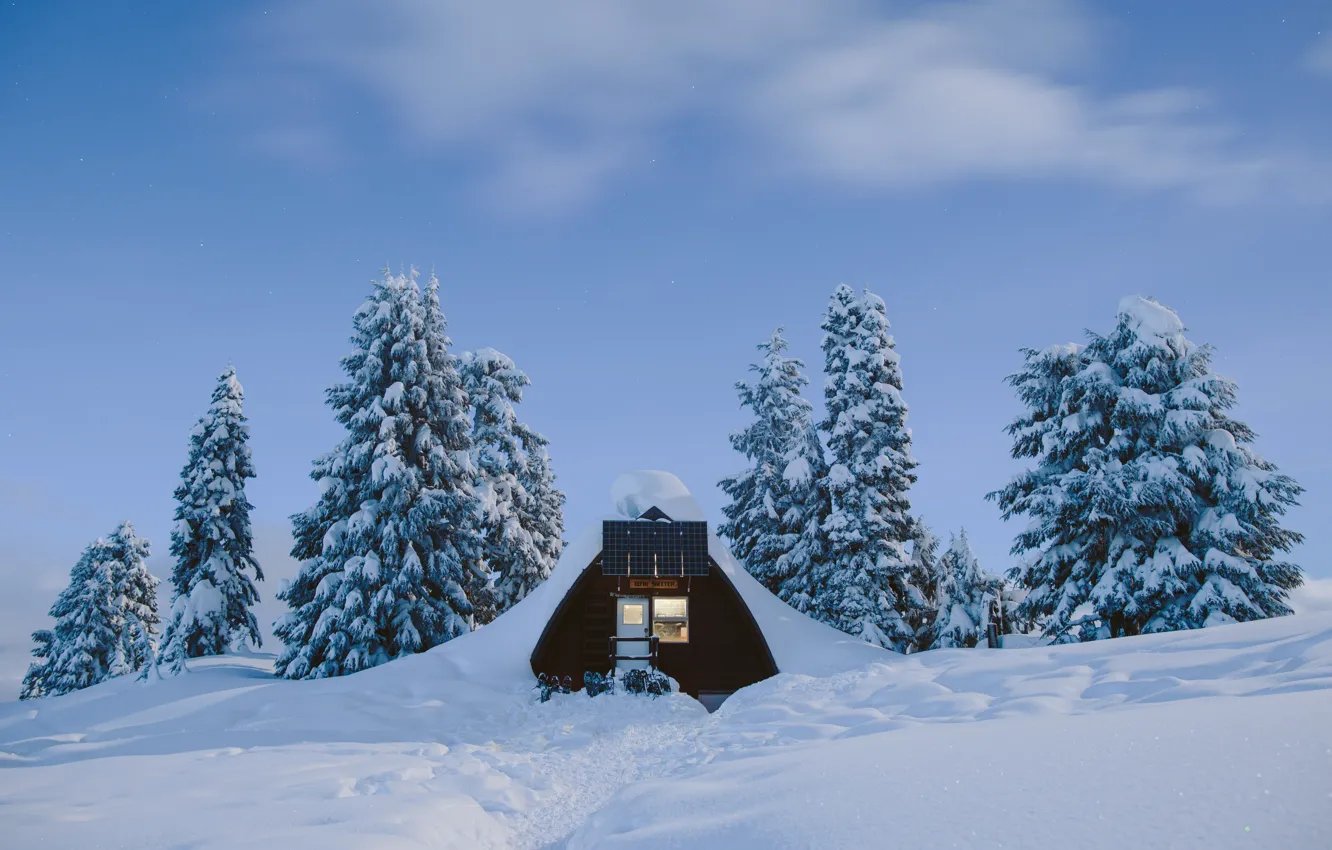 Фото обои sky, trees, landscape, winter, clouds, snow, Hotel Room, Wildnis