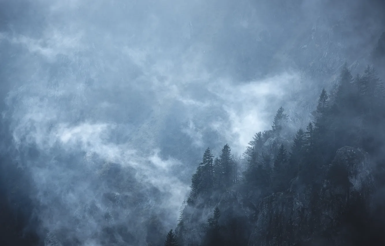 Фото обои деревья, горы, природа, туман, скалы