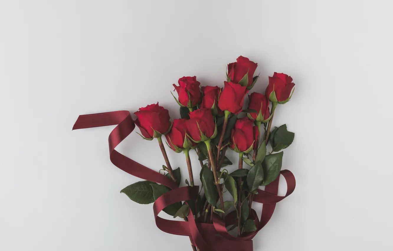 Фото обои цветы, букет, лента, Розы