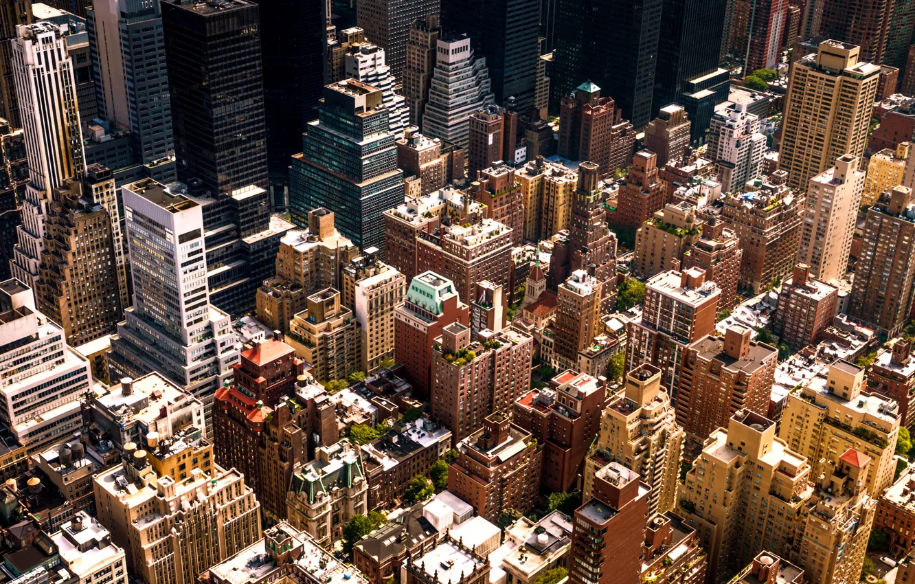Фото обои дома, Нью-Йорк, США, By Vivienne Gucwa, above new york