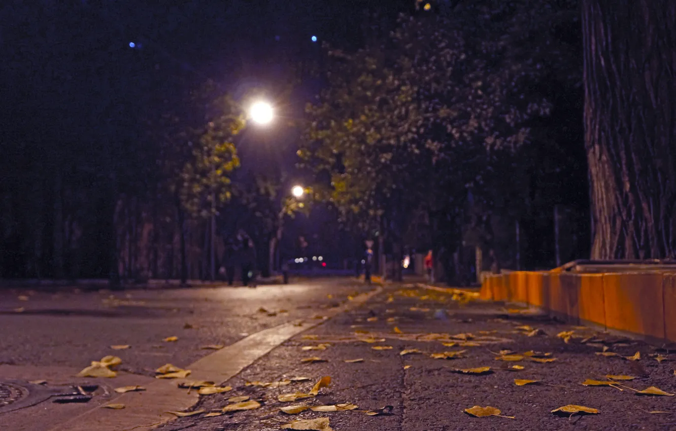 Фото обои асфальт, листва, Улица, бордюр, фонарь, боке