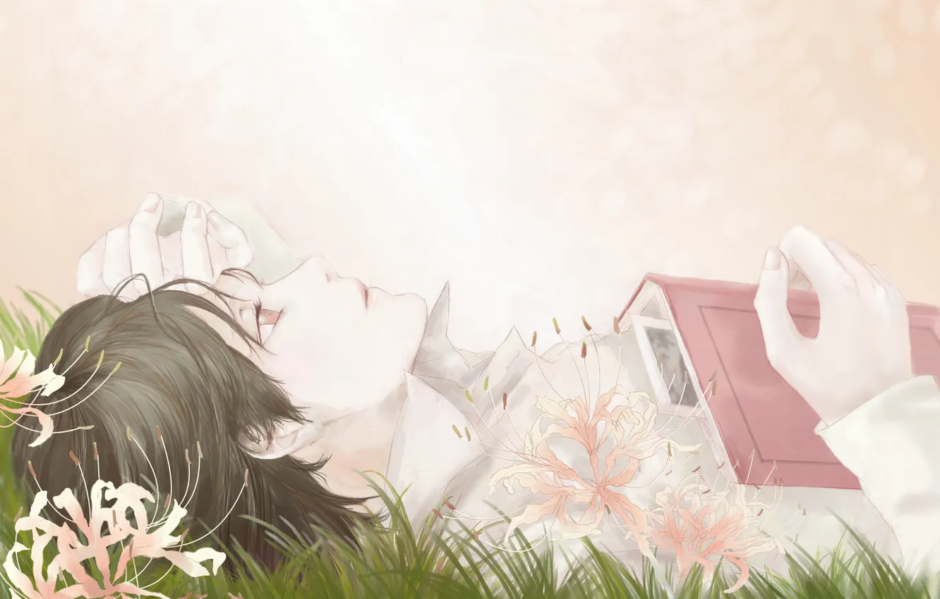 Фото обои трава, цветы, арт, лежит, книга, парень, isa