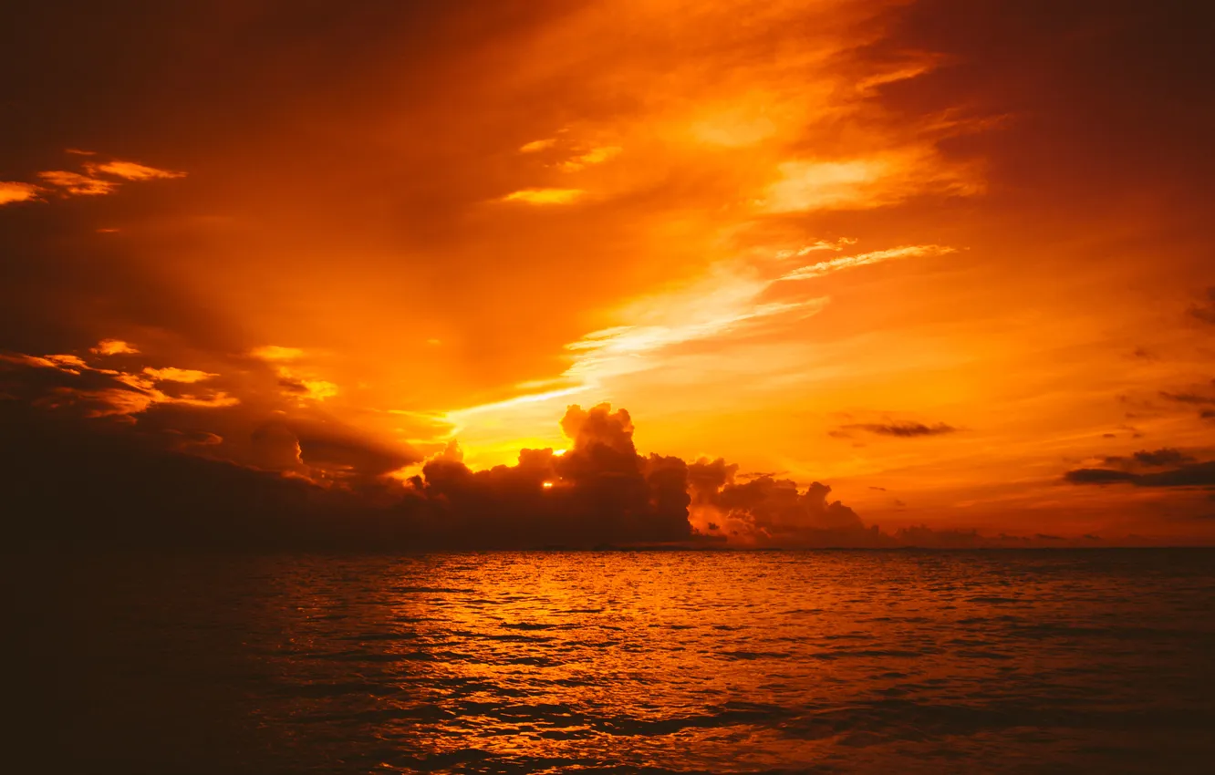 Фото обои море, небо, солнце, облака, восход, горизонт, оранжевое небо