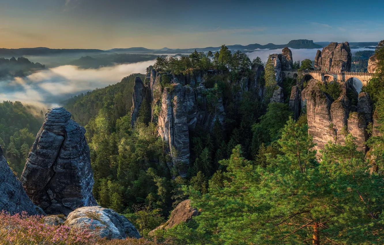 Фото обои forest, cliffs, construction