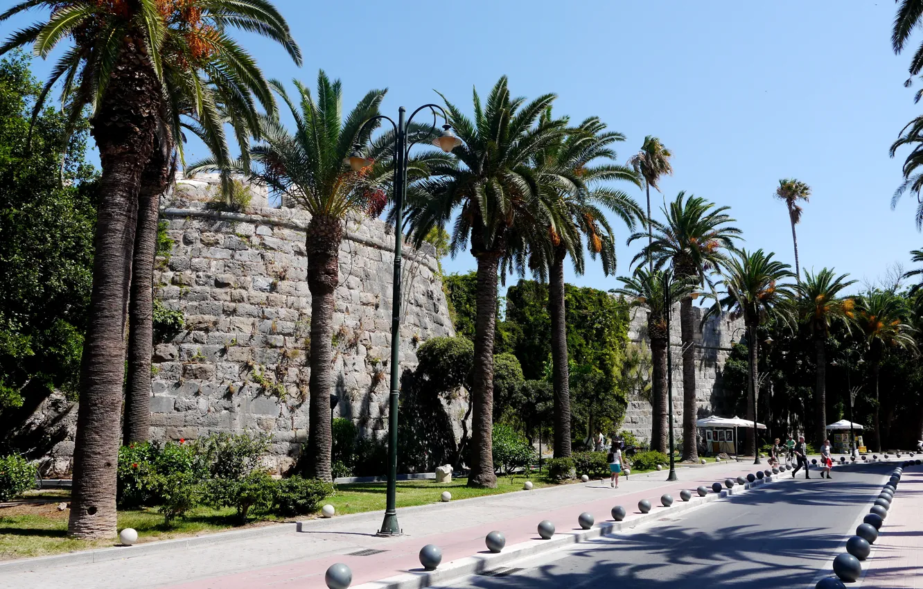 Фото обои дорога, пальмы, стена, обои, греция, Greece, Kos