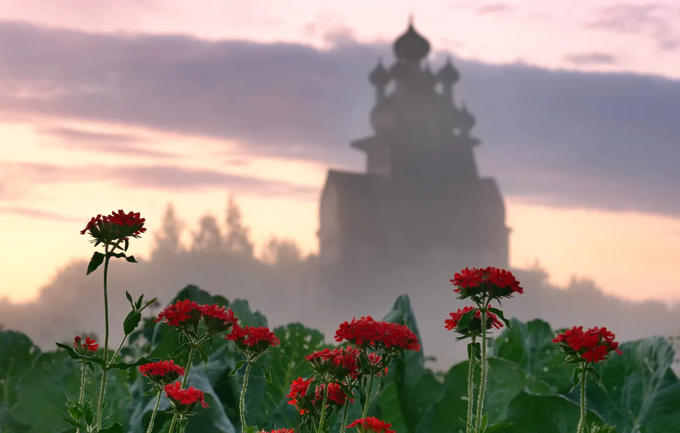 Фото обои цветы, храм, Архангельская область, Подпорожье