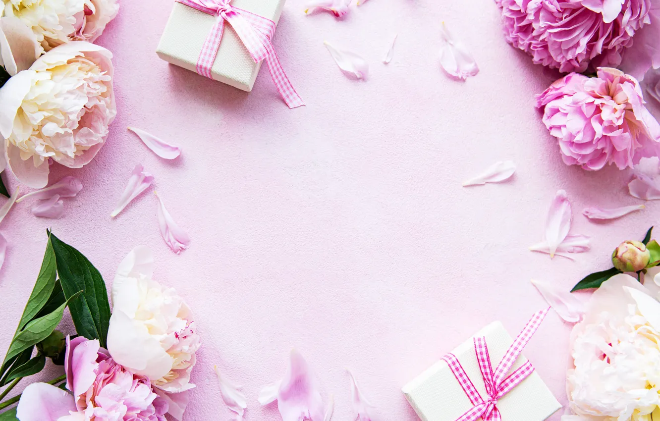 Фото обои фон, розовый, праздник, подарки, пионы, композиция, Olena Rudo
