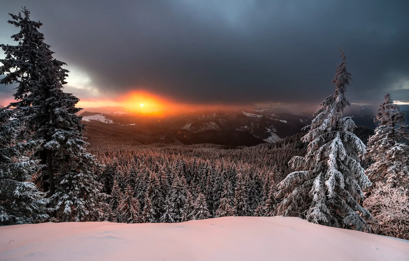 Фото обои зима, лес, небо, солнце, снег, закат, горы, тучи