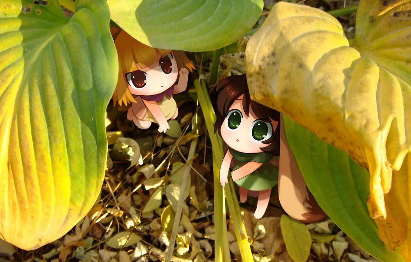 Фото обои листья, солнце, природа, аниме, арт, chibi, neko sakana