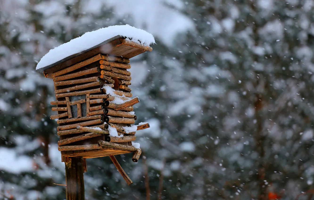 Фото обои снег, скворечник, боке, birdhouse