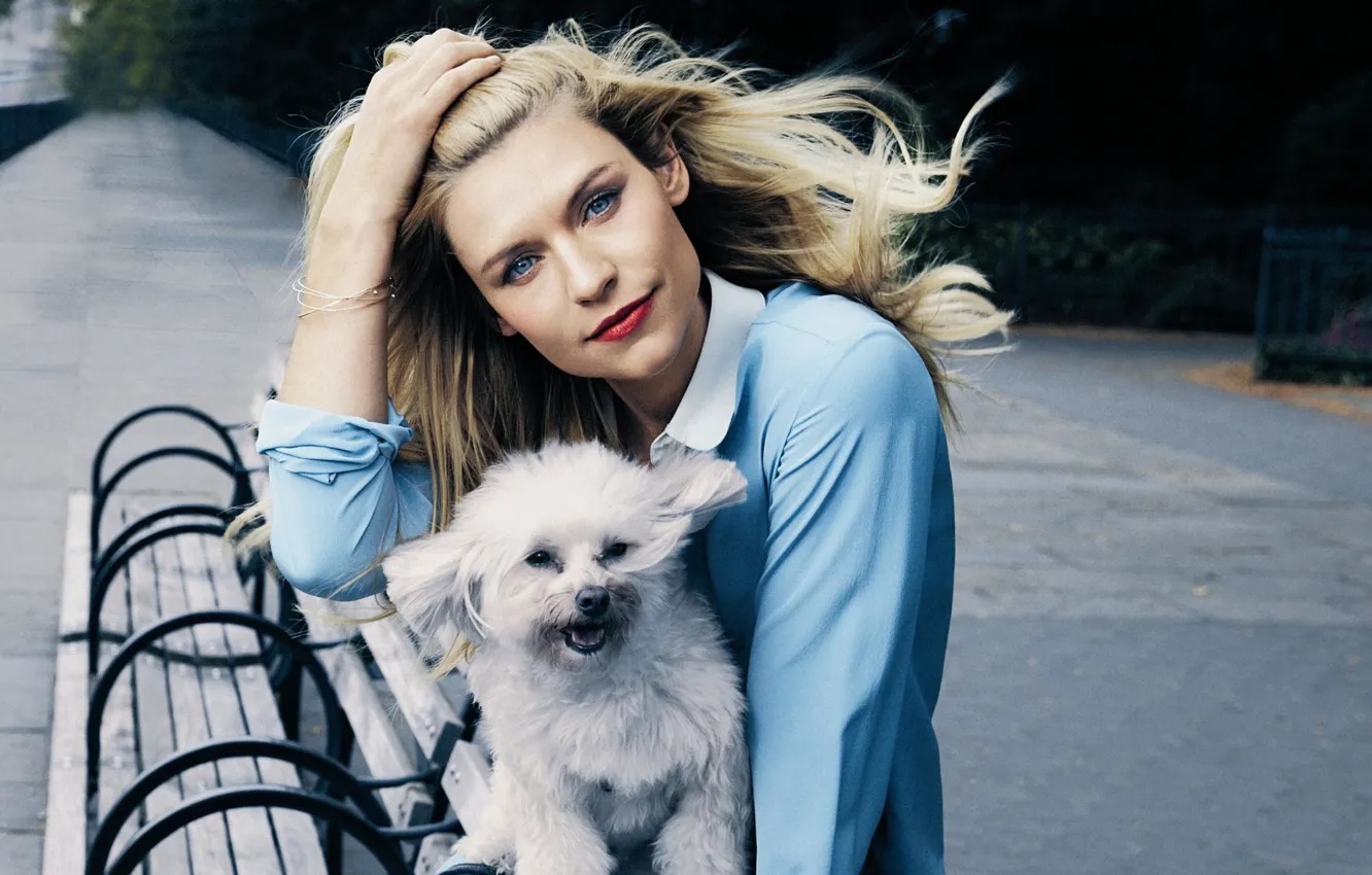 Фото обои взгляд, поза, собака, макияж, актриса, Claire Danes, Клэр Дэйнс