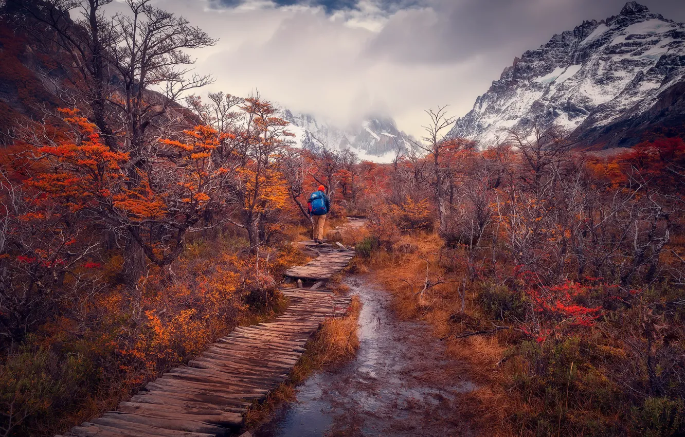 Фото обои nature, Patagonia, Fall Color on Road