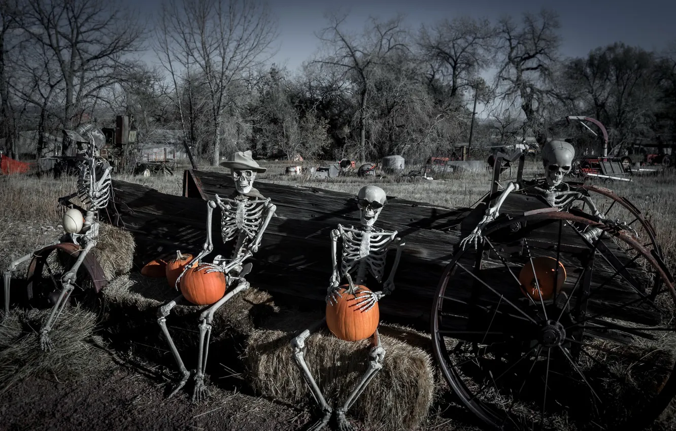Фото обои тыквы, скелеты, Happy Hallowe'en