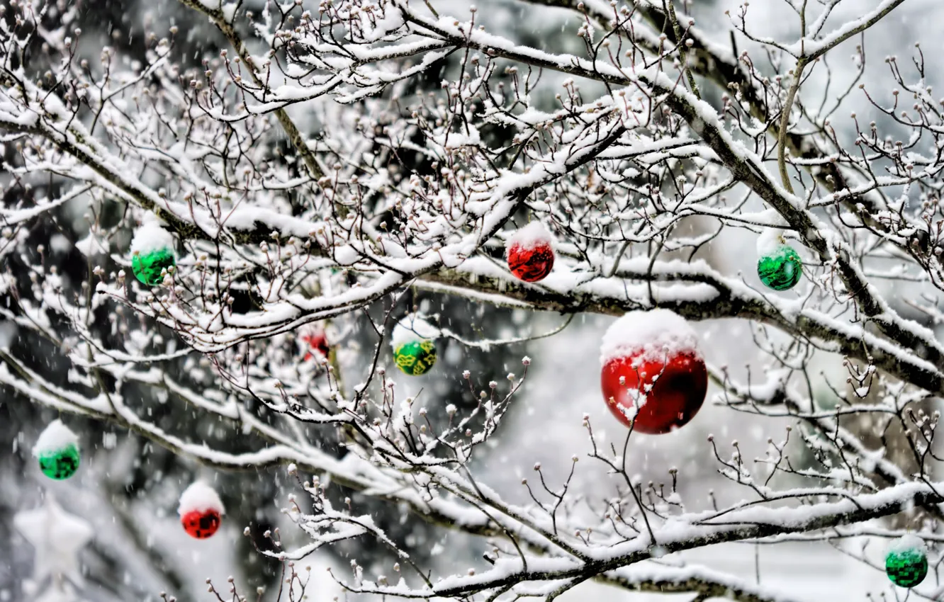 Фото обои зима, шарики, снег, украшения, деревья, сад, Новый Год, Рождество