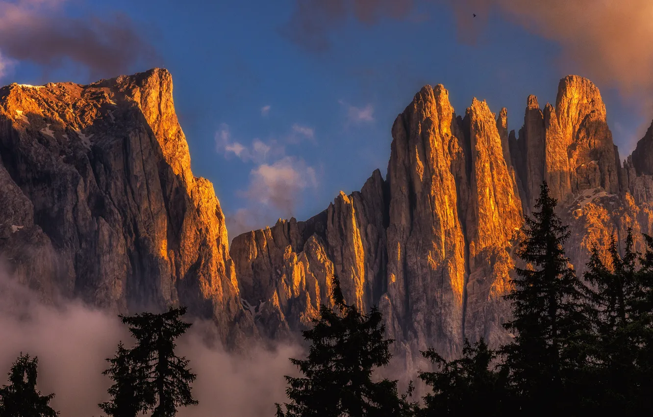 Фото обои небо, свет, горы, скалы, вершины, ели