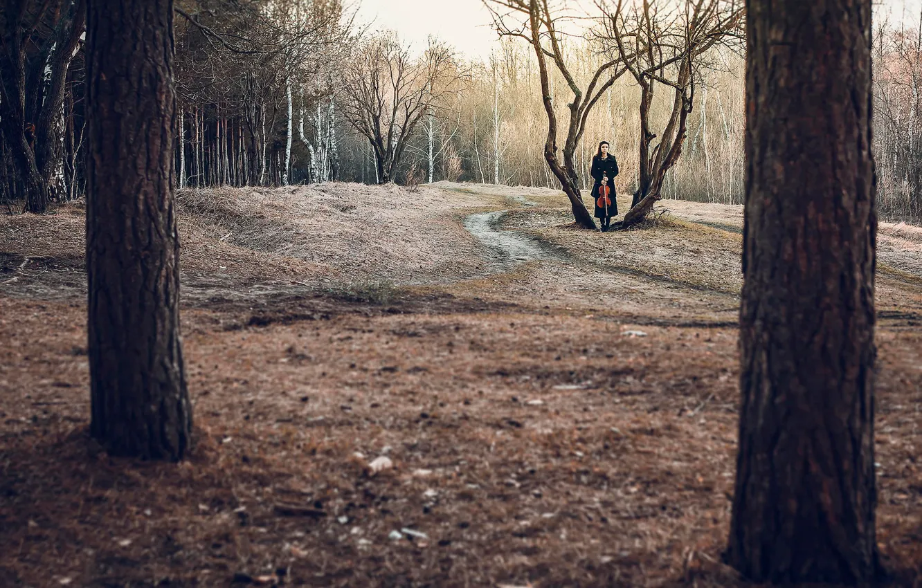 Фото обои лес, девушка, одиночество, альт