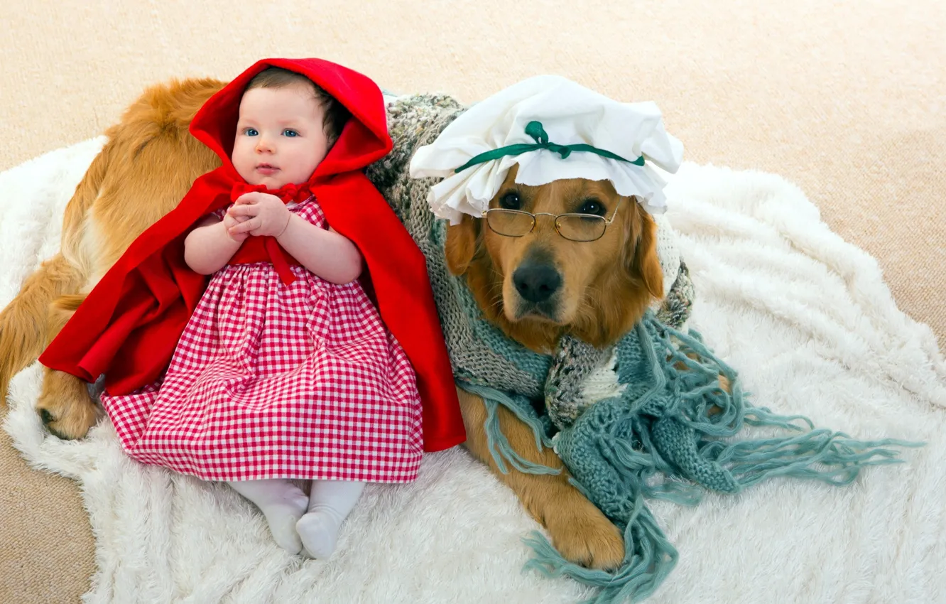 Фото обои собака, красная шапочка, девочка