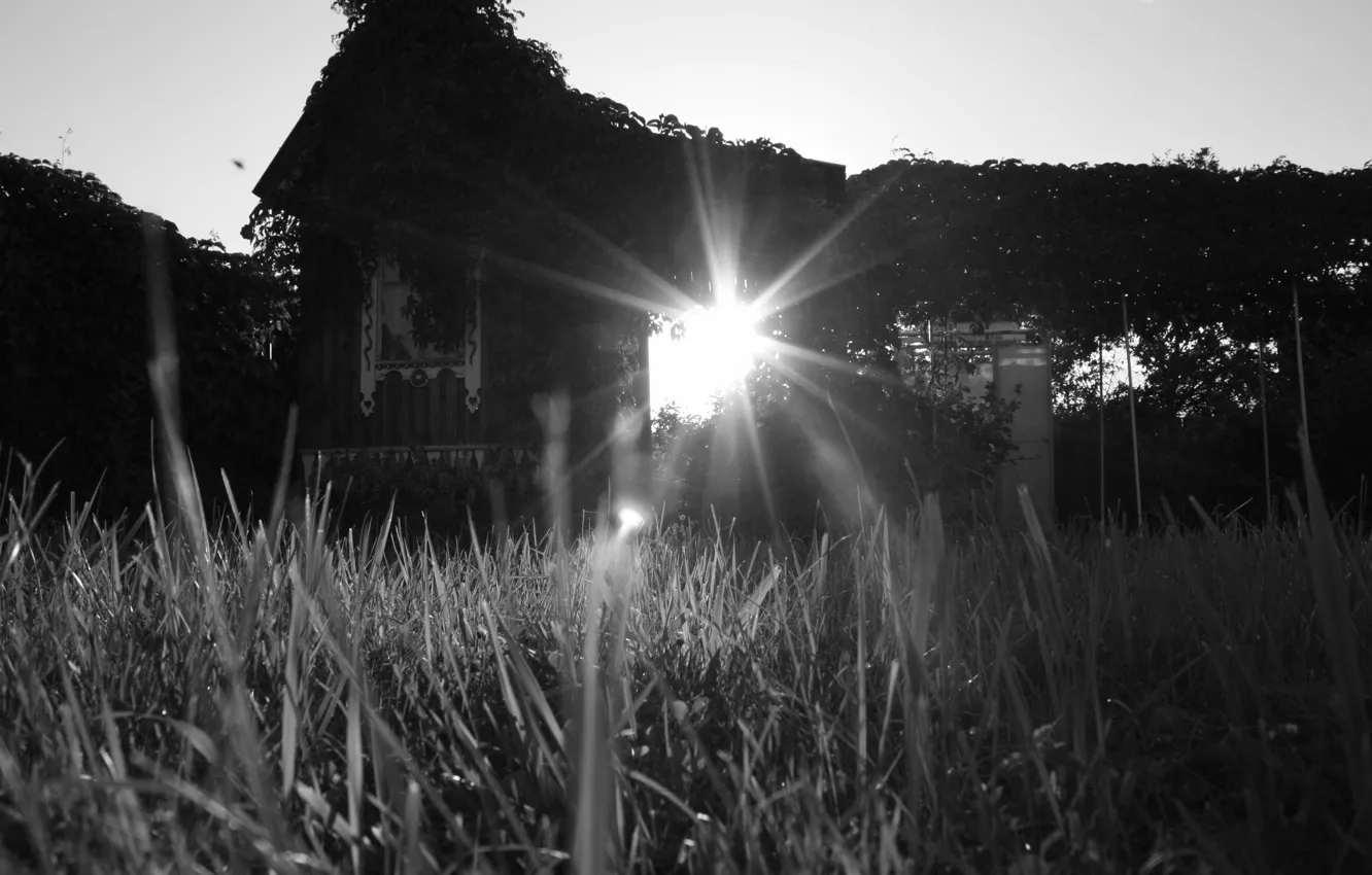Фото обои трава, солнце, дом