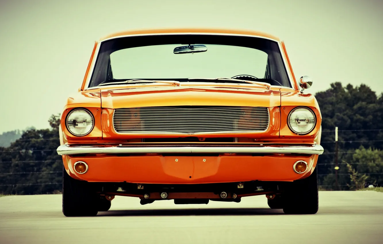 Фото обои Orange, Ford Mustang, Muscle car