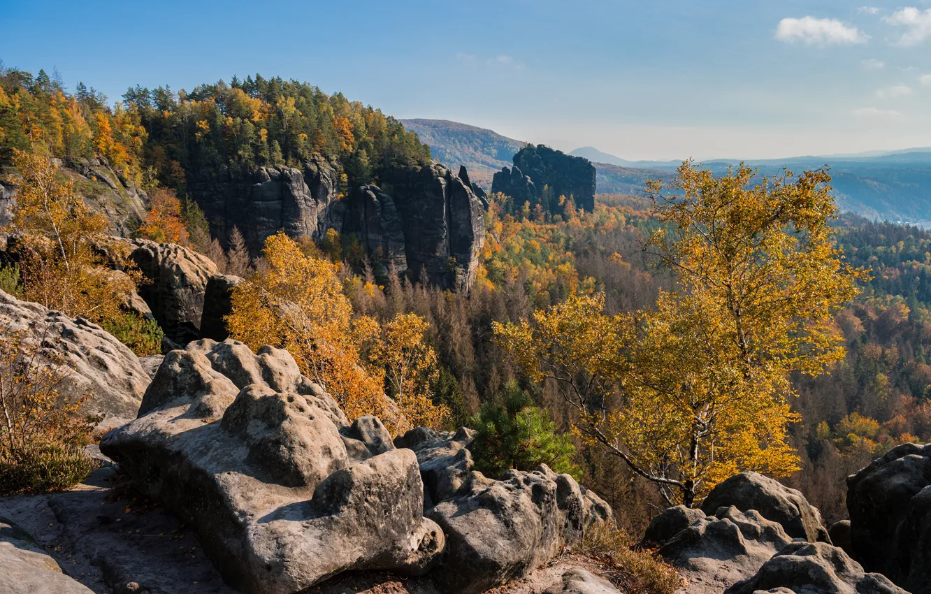 Фото обои осень, лес, деревья, горы, камни, Германия, Germany, Саксония