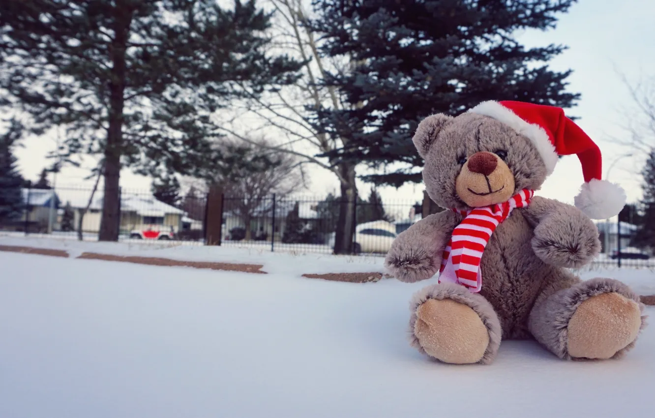 Фото обои Новый Год, Рождество, мишка, Christmas, New Year, teddy bear, Merry, santa hat