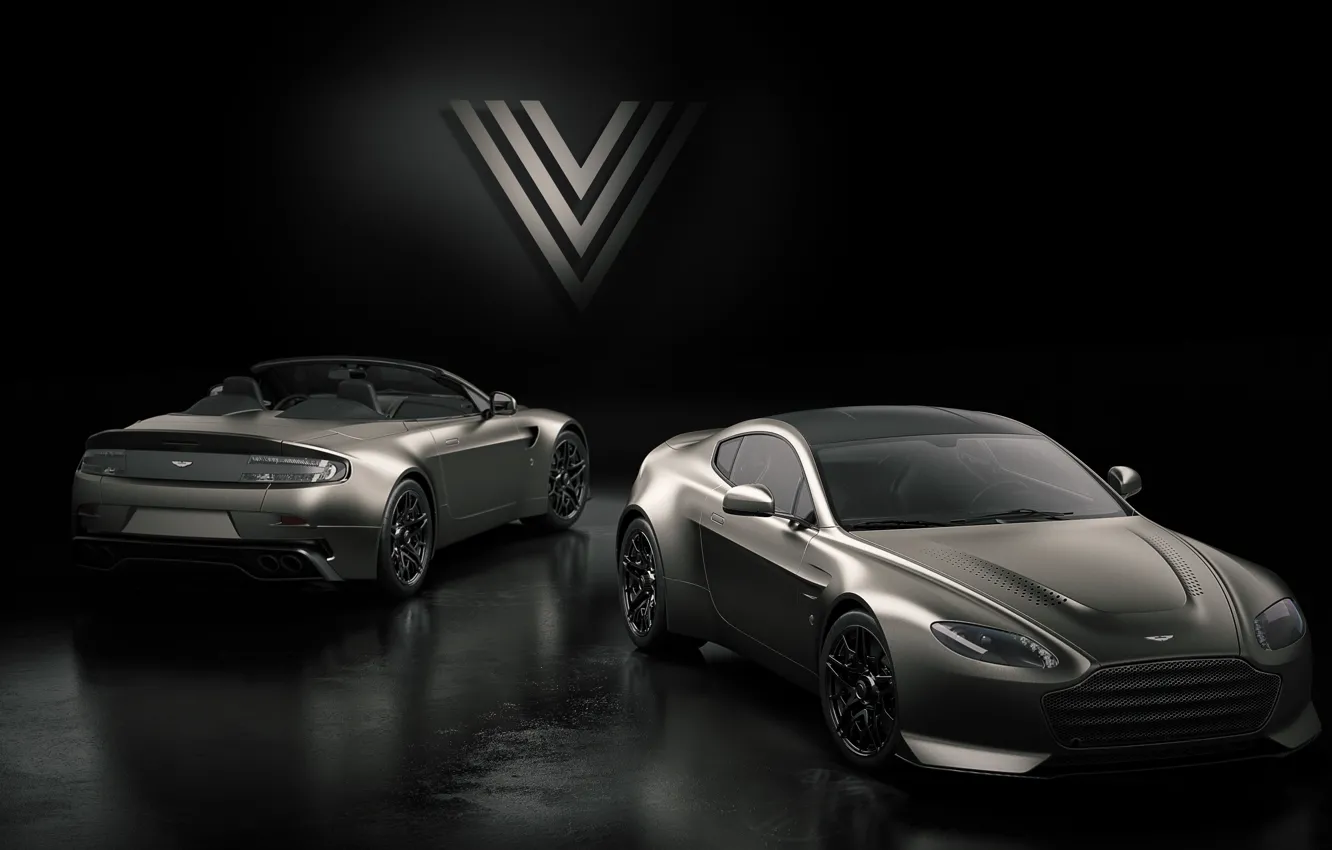 Фото обои Aston Martin, Roadster, Vantage, пара, вид сзади, V12, V600