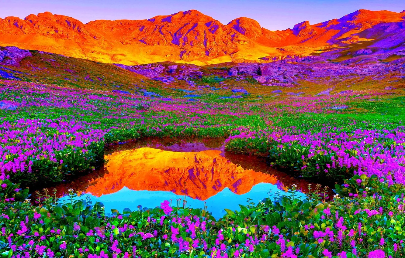 Фото обои небо, закат, цветы, горы, озеро, луг