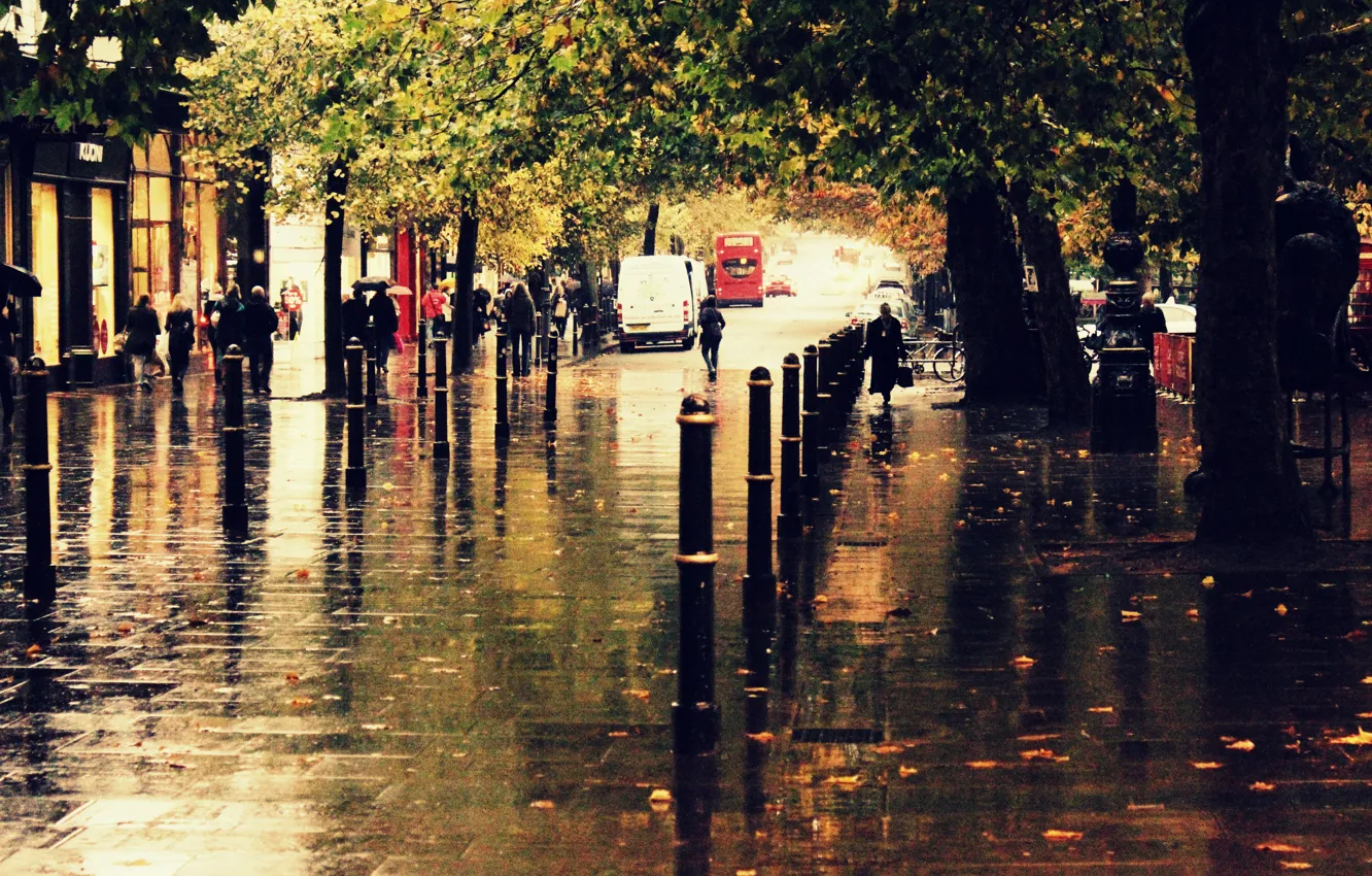 Фото обои осень, город, дождь, улица