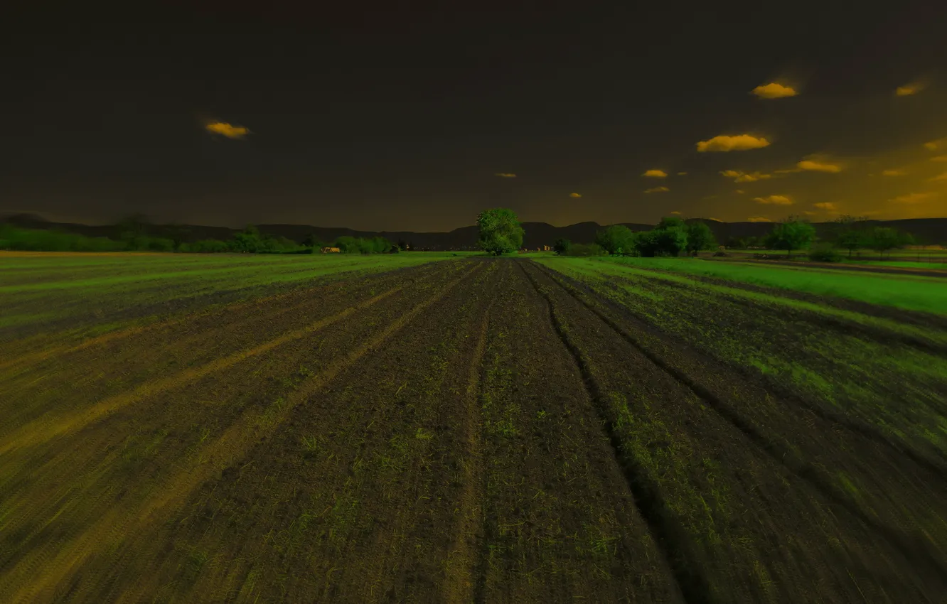 Фото обои поле, пейзаж, ночь
