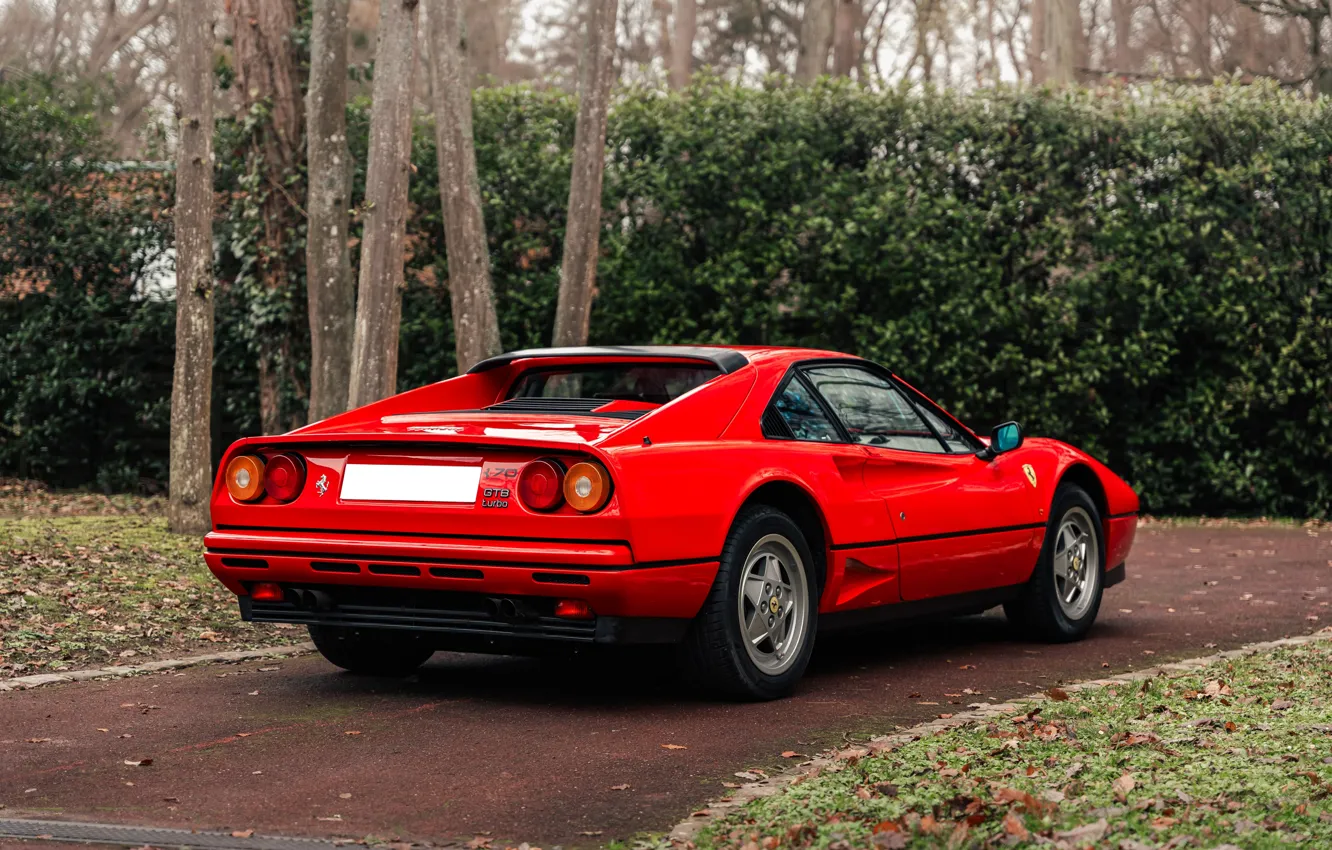 Фото обои Ferrari, GTB, 1989, sports car, Ferrari GTB Turbo