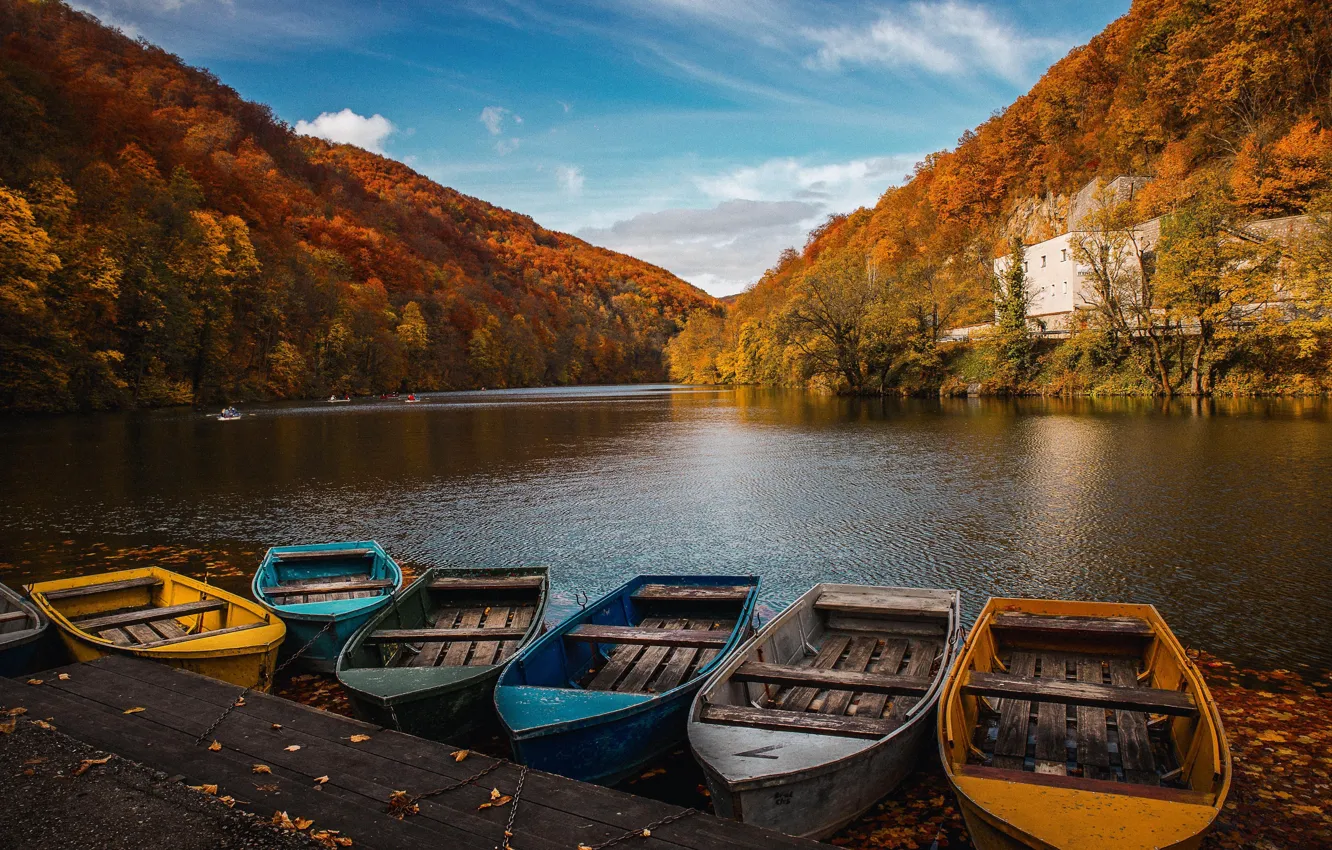 Фото обои осень, лес, небо, листья, вода, облака, деревья, озеро